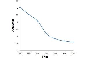ELISA image for anti-Ubiquinol-Cytochrome C Reductase Core Protein II (UQCRC2) (AA 21-120) antibody (ABIN751948)