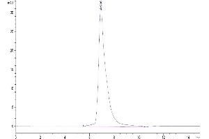 The purity of Biotinylated Human SIRP gamma is greater than 95 % as determined by SEC-HPLC.