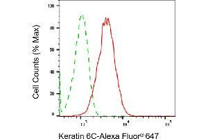 Flow cytometric analysis of Keratin 6C expression in HepG2 cells using Keratin 6C antibody (ABIN7799184), 1:2,000).