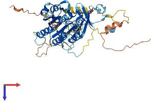 ELP4 Protein (AA 1-422) (His tag)