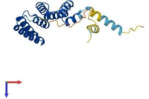 Tetratricopeptide Repeat Domain 36 (TTC36) (AA 1-186) protein (His tag)