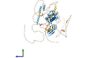 Protein Structure (PS) image for B-Cell Scaffold Protein with Ankyrin Repeats 1 (BANK1) (AA 1-785) protein (His tag) (ABIN7552722)