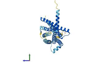 Protein Structure (PS) image for Taste Receptor, Type 2, Member 9 (TAS2R9) (AA 1-312) protein (His tag) (ABIN7544152)
