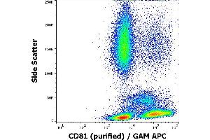 Flow cytometry surface staining pattern of human peripheral blood stained using anti-human CD81 (M38) purified antibody (concentration in sample 4 μg/mL) GAM APC. (CD81 Antikörper)