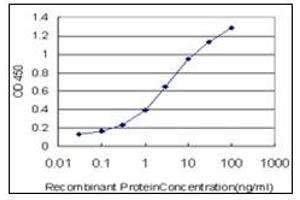 ELISA image for anti-SMAD, Mothers Against DPP Homolog 2 (SMAD2) antibody (ABIN781909)