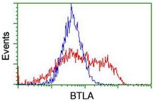 Image no. 3 for anti-B and T Lymphocyte Associated (BTLA) antibody (ABIN1496980)