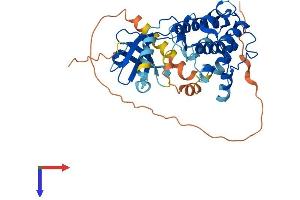 CAMK1D Protein (AA 1-385) (His tag)