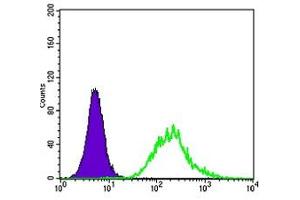 Flow Cytometry (FACS) image for anti-Megakaryocyte-Associated tyrosine Kinase (MATK) antibody (ABIN1108164) (MATK Antikörper)