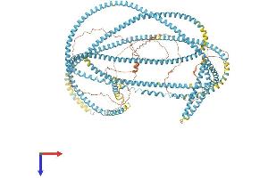 SFI1 Protein (AA 1-1242) (His tag)