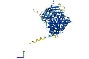 Protein Structure (PS) image for Copine IX (CPNE9) (AA 1-553) protein (His tag) (ABIN7546797)