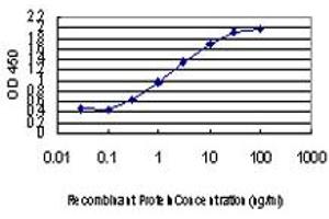 ELISA image for anti-Zic Family Member 4 (ZIC4) (AA 249-320) antibody (ABIN466252) (ZIC4 Antikörper  (AA 249-320))