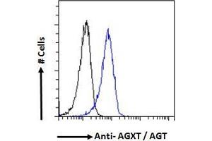 ABIN570702 Flow cytometric analysis of paraformaldehyde fixed HepG2 cells (blue line), permeabilized with 0. (AGXT Antikörper  (Internal Region))