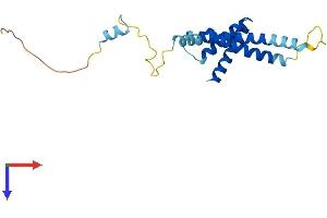 TIMM22 Protein (AA 1-194) (His tag)