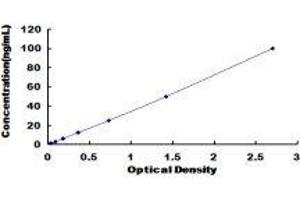 ELISA image for Transferrin Receptor 2 (TFR2) ELISA Kit (ABIN415732)