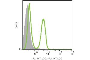 Surface staining of CD3 in murine splenocytes with anti-CD3 (145-2C11) FITC. (CD3 Antikörper  (FITC))