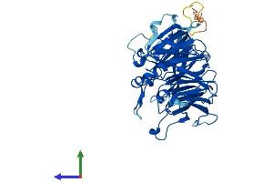 Protein Structure (PS) image for Protein Phosphatase 2, Regulatory Subunit B, delta (PPP2R2D) (AA 1-453) protein (His tag) (ABIN7560270)