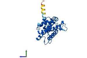 Protein Structure (PS) image for MOB Family Member 4, Phocein (MOBKL3) (AA 1-225) protein (His tag) (ABIN7550699)
