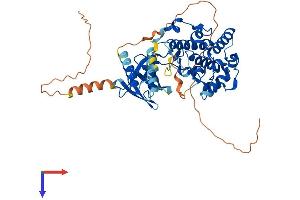 MAPK10 Protein (AA 1-464) (His tag)