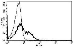 A typical staining pattern with the B-G27 monoclonal antibody of lymphocytes (FAS Antikörper)