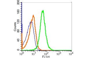 Mouse thymus cells probed with CD45 Polyclonal Antibody, FITC Conjugated (bs-10599R-FITC) at 1:20 for 30 minutes compared to control cells (blue)and isotype control (orange). (CD45 Antikörper  (AA 451-550) (FITC))