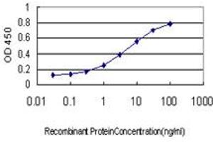 Detection limit for recombinant GST tagged BUB1B is approximately 0. (BUB1B Antikörper  (AA 1-130))