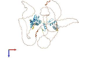 AlphaFold protein structure predicition of Human Recombinant ZBTB22 Protein, UniprotID O15209