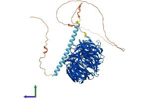 Protein Structure (PS) image for Echinoderm Microtubule Associated Protein Like 1 (EML1) (AA 1-814) protein (His tag) (ABIN7563602)