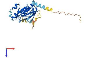 RABL2A Protein (AA 1-228) (His tag)