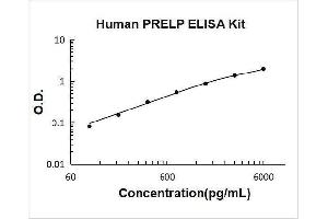 Proline Arginine Rich End Leucine Rich Repeat Protein (PRELP) ELISA Kit