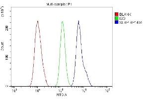 Flow Cytometry analysis of U87 cells using anti-SLBP antibody (ABIN7600074). (SLBP Antikörper  (AA 146-270))
