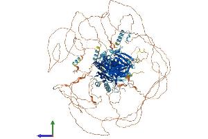 Protein Structure (PS) image for Tensin 3 (TNS3) (AA 1-1440) protein (His tag) (ABIN7563836)