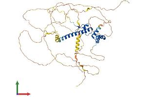 Protein Structure (PS) image for DMRT-Like Family A2 (DMRTA2) (AA 1-542) protein (His tag) (ABIN7547061)