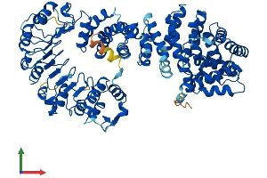 AlphaFold protein structure predicition of Human Recombinant ZYG11B Protein, UniprotID Q9C0D3