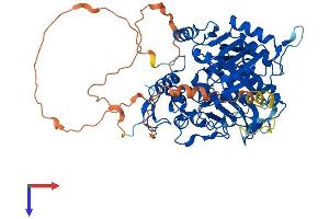 TDP1 Protein (AA 1-608) (His tag)