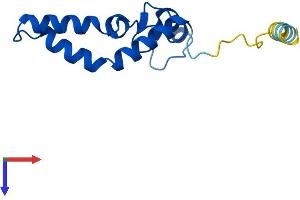 RPS14 Protein (AA 1-128) (His tag)