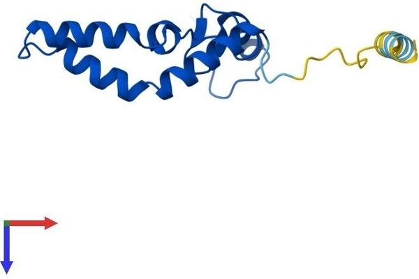 RPS14 Protein (AA 1-128) (His tag)