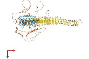 TRO Protein (AA 1-1431) (His tag)
