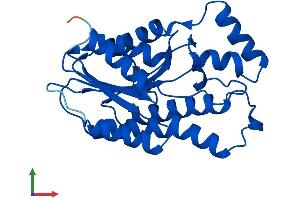 Protein Structure (PS) image for Sepiapterin Reductase (SPR) (AA 1-261) protein (His tag) (ABIN7546230)