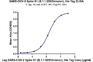 ELISA image for SARS-CoV-2 Spike S1 (B.1.1.529 - Omicron) protein (His tag) (ABIN7274393)