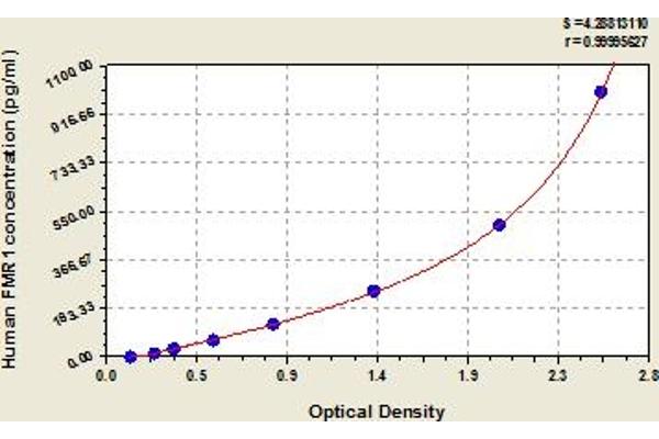 FMR1 ELISA Kit