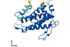 Protein Structure (PS) image for MOB1, Mps One Binder Kinase Activator-Like 2C (MOBKL2C) (AA 1-216) protein (His tag) (ABIN7549499)