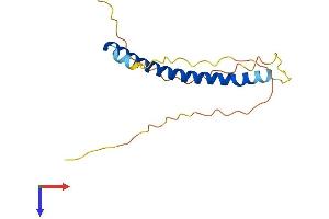 NAP1L5 Protein (AA 1-156) (His tag)