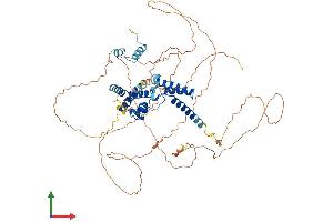Protein Structure (PS) image for HNF1 Homeobox A (HNF1A) (AA 1-628) protein (His tag) (ABIN7562967)