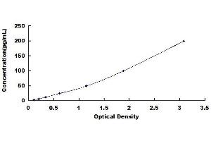 Typical standard curve (IL12 ELISA Kit)