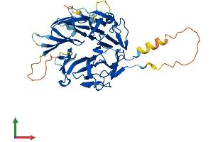 AlphaFold protein structure predicition of Mouse Recombinant Rccd1 Protein, UniprotID Q8BTU7