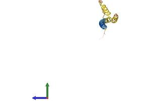 Protein Structure (PS) image for Interferon-Induced Transmembrane Protein 1 (IFITM1) (AA 1-125) protein (His tag) (ABIN7554149)