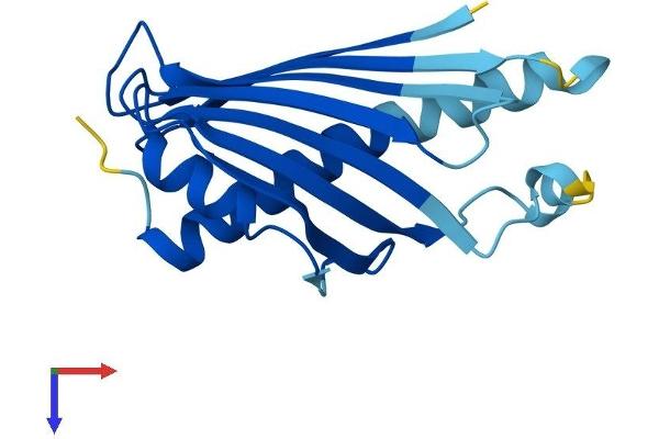 PRELID2 Protein (AA 1-177) (His tag)