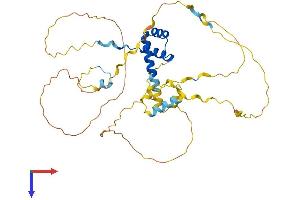 BARHL2 Protein (AA 1-384) (His tag)