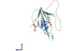CCDC60 Protein (AA 1-545) (His tag)