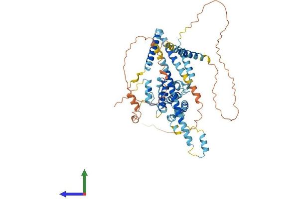 CCDC60 Protein (AA 1-545) (His tag)